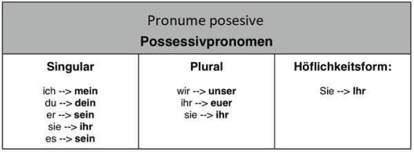 Pronumele posesive 1